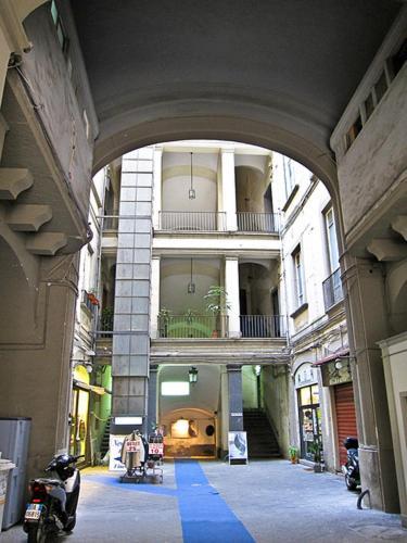 Venustasnapoli